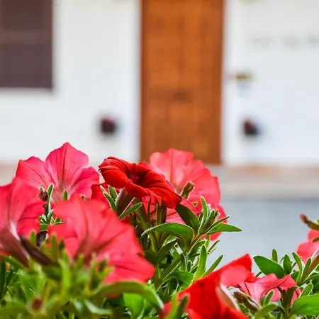 Maison d'hôtes La Quiete 4*
