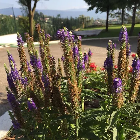 Gasthof La Quiete Anagni