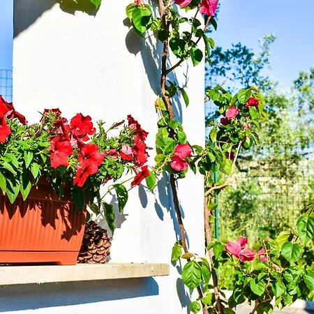 Maison d'hôtes La Quiete 4*