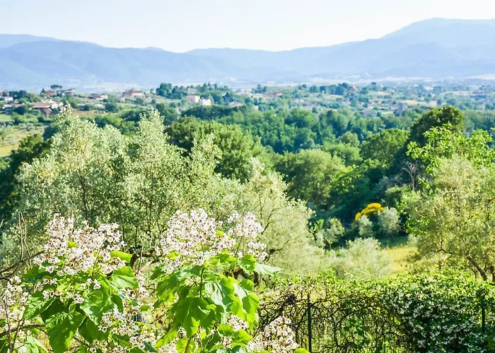 La Quiete 4* Anagni