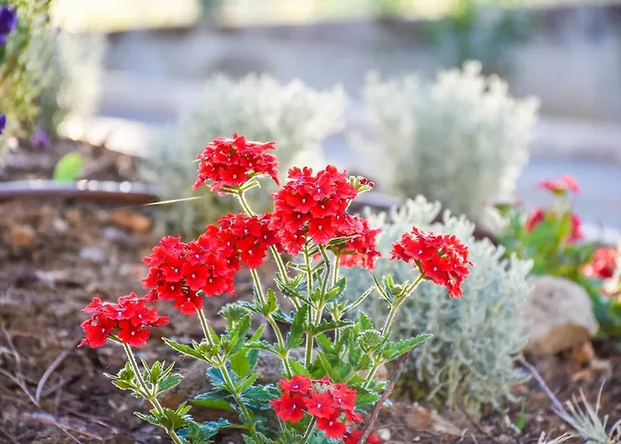 בית הארחה La Quiete 4*